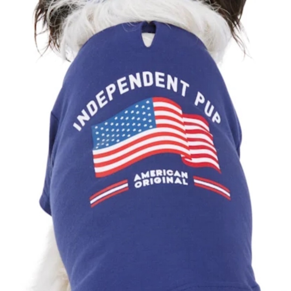 NWT Citizen Independent American flag tee XL